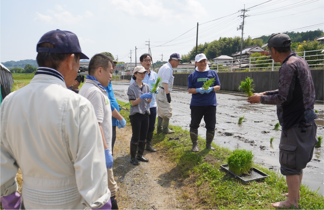 東広島市酒米栽培推進協議会 写真