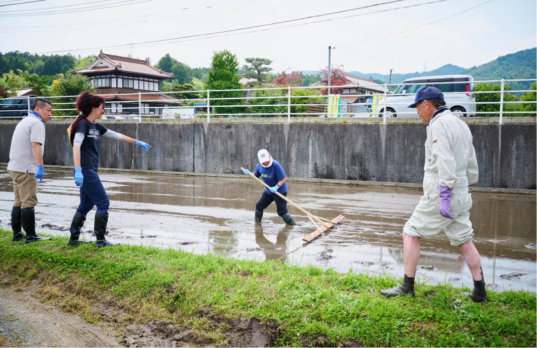 東広島市酒米栽培推進協議会 写真