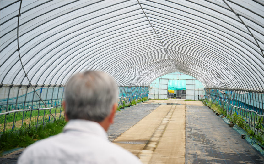 東広島市酒米栽培推進協議会 写真